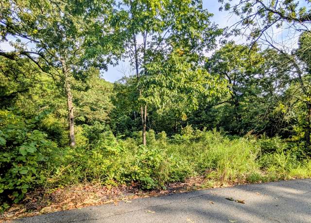 Property at Lot 9 Azalea Ln, Branson West, MO 65737
