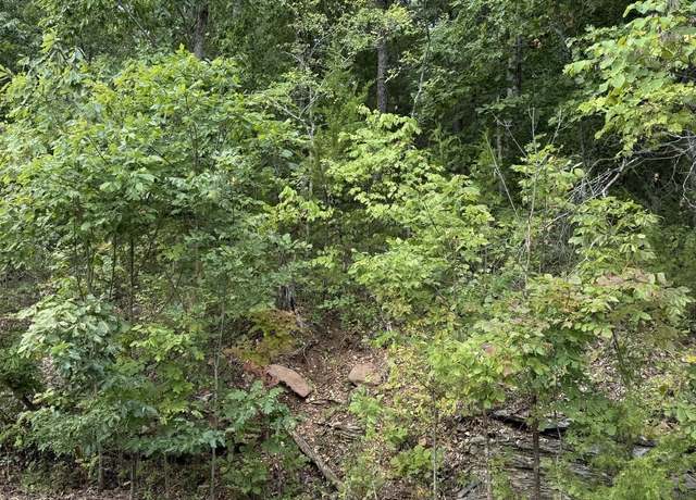 Property at Tbd Skylee Dr, Hollister, MO 65672