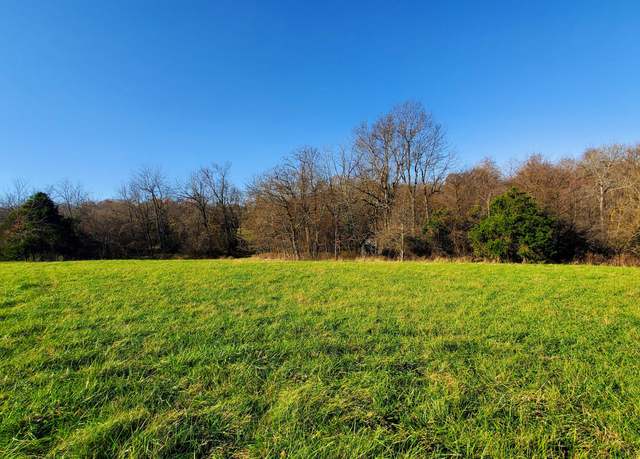 Property at 6973 W Musket Ridge Rd Lot 22, Republic, MO 65738