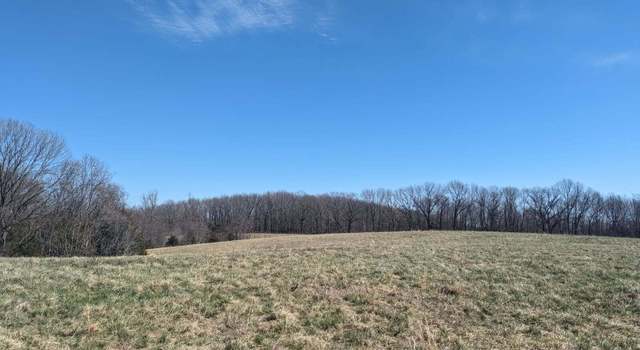 Photo of 000 Warner Rd, Crane, MO 65633
