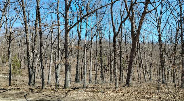 Photo of 17740 Hwy 133, Dixon, MO 65459