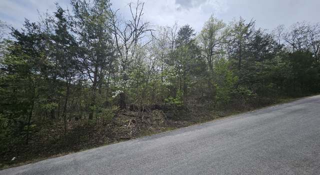 Photo of 000 Guillian Dr, Branson, MO 65616