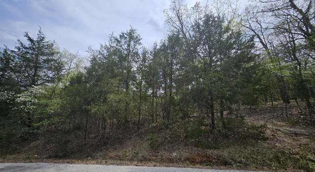Photo of 000 Guillian Dr, Branson, MO 65616
