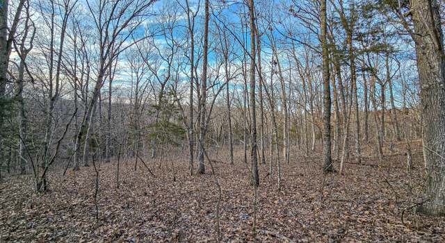 Photo of 000 County Road 405, Urbana, MO 65767