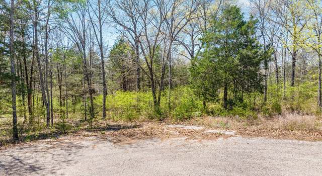 Photo of 000 Lot 29 Mills Hollow Ct, Branson, MO 65616