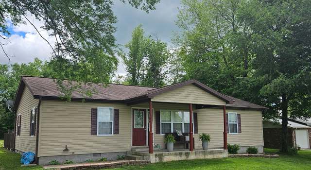 Photo of 313 Washington St, Mountain View, MO 65548