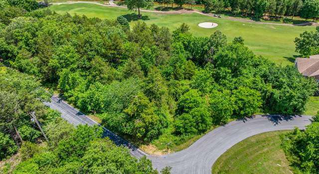 Photo of 000 Lot 8 Forest Lake 2nd Add, Branson West, MO 65737
