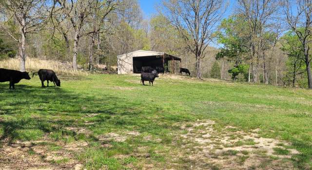Photo of 1002 County Road 537, Tecumseh, MO 65760