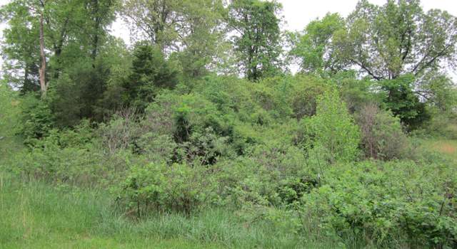 Photo of Lots 38 & 44 Journeys End, Forsyth, MO 65653