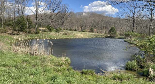 Photo of 000 County Road 312, Ava, MO 65608