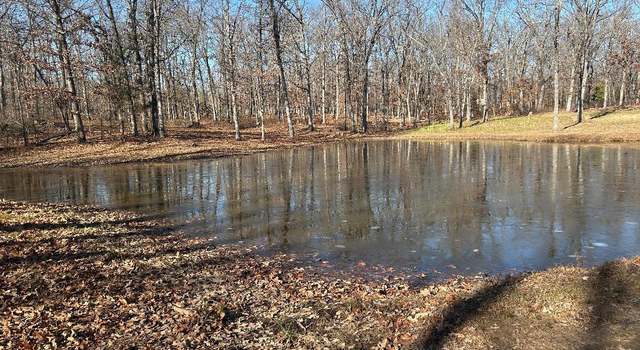Photo of 000 N Missouri State Highway 215, Dadeville, MO 65635