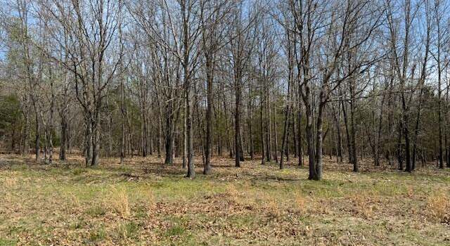 Photo of 232 N Dade 175, Greenfield, MO 65661
