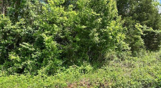 Photo of 101 Isabella Ln, Horseshoe Bend, AR 72512