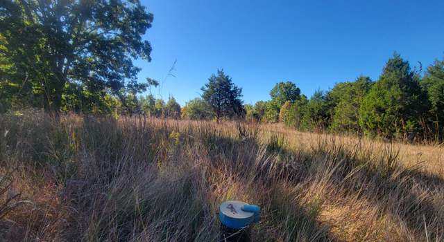 Photo of 0 Baty Rd, Mountain Grove, MO 65711