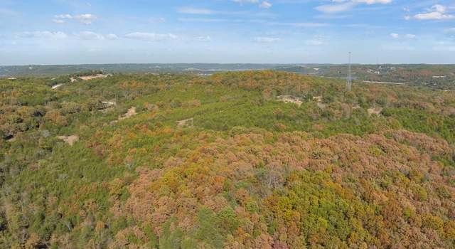 Photo of 97 Backwood Rd, Lampe, MO 65681