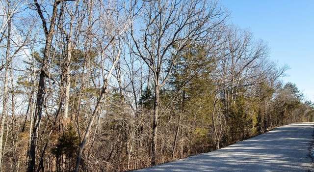 Photo of 2 Catfish Ln, Forsyth, MO 65653