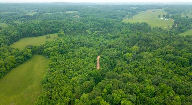 Photo of 1529 County Road 102, Alton, MO 65606
