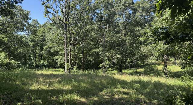 Photo of 000 Mulberry Dr, Mountain Grove, MO 65711