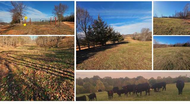 Photo of 40.19 Acre Low Gap Rd, Noel, MO 64854