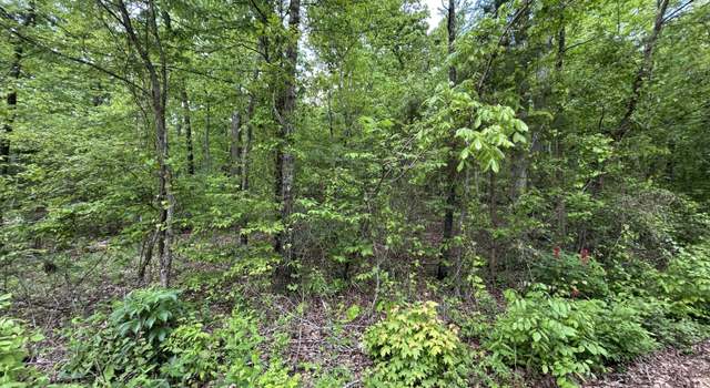 Photo of 000 River Trace Ln, Hardy, AR 72542