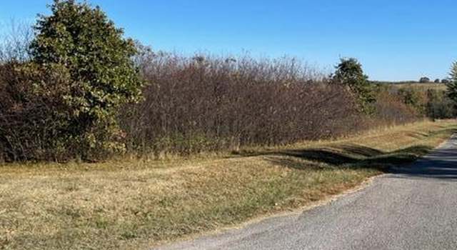 Photo of Lot 1 Stonegate Subdivision, Ash Grove, MO 65604