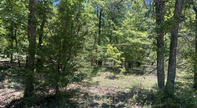 Photo of Cr 164 Round Robin Ln, Theodosia, AR 65761