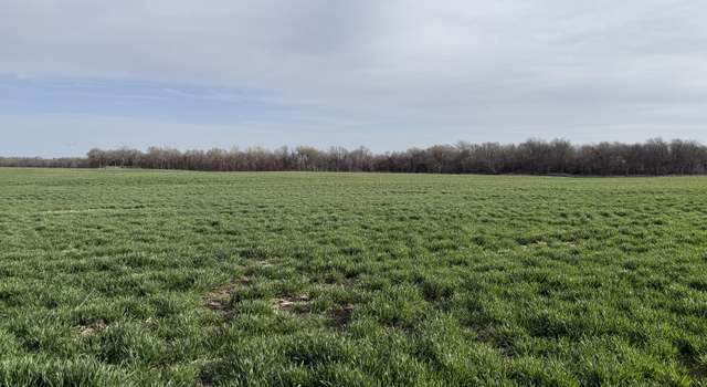 Photo of 000 Hwy Yy, Miller, MO 65707