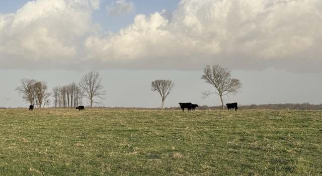 Photo of Tract 2 Dade 105, Lockwood, MO 65682
