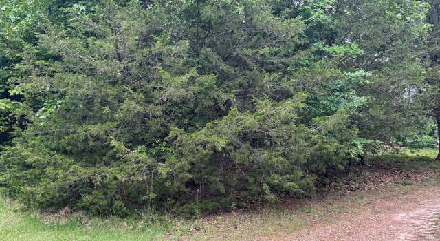 Photo of Tbd County Road 635 A, Theodosia, MO 65761