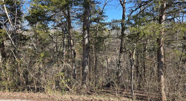 Photo of Tbd Honey Ln, Rockaway Beach, MO 65740