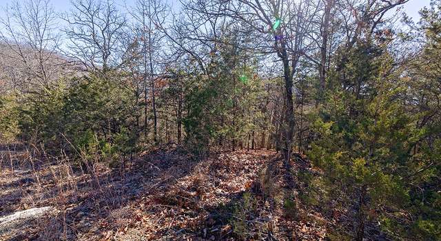 Photo of Lot 5 Terrace Dr, Ridgedale, MO 65739