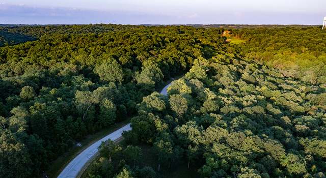 Photo of Lot 12 Hanging Branch Rdg, Cape Fair, MO 65624