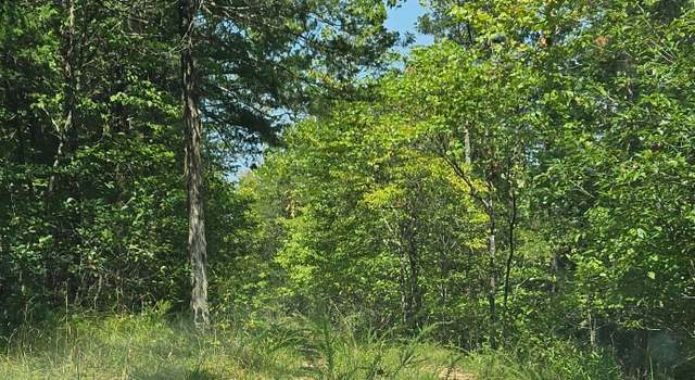 Photo of 000 Homestead Cedar Hls, Theodosia, MO 65761