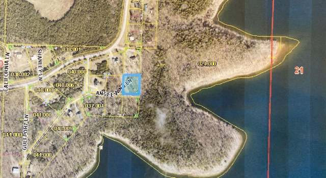 Photo of 10 Angelwing - Lot 10, Blue Eye, MO 65611
