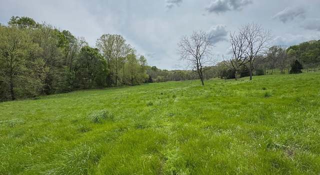 Photo of Tbd Miser Hollow Rd, Jane, MO 64856