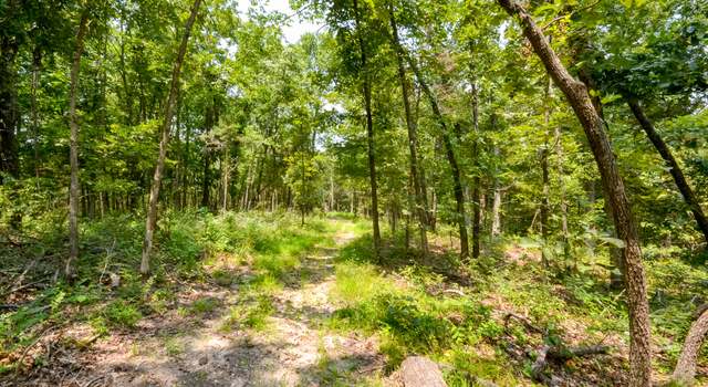 Photo of 000 Us Highway 65, Cross Timbers, MO 65634