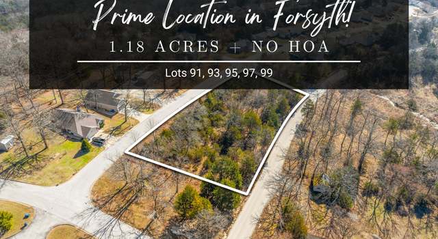 Photo of Lots 91, 93, 95, 97, 99 Eagle Dr, Forsyth, MO 65653