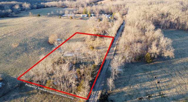 Photo of 8445 County Road Nn-537, Ava, MO 65608