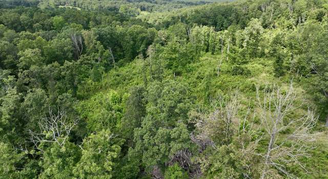 Photo of 000 Songbird Rd, Powell, MO 65730