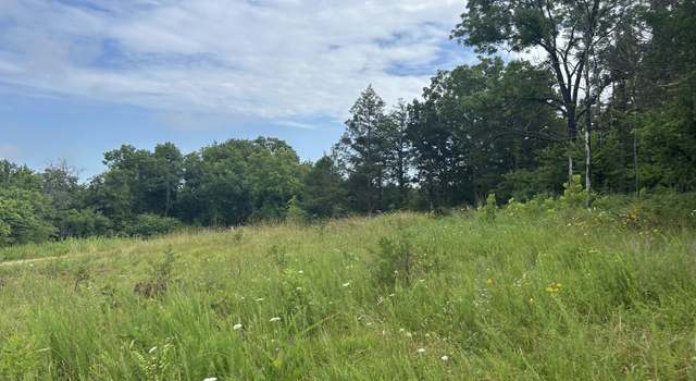Photo of 000 County Road Y-521, MO 65608