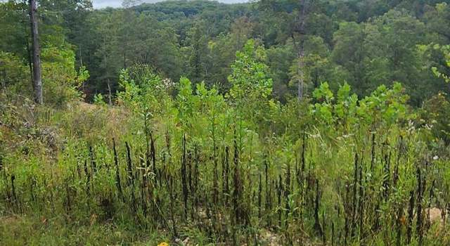 Photo of Tract 2 Blue Creek Rd, Chadwick, MO 65629
