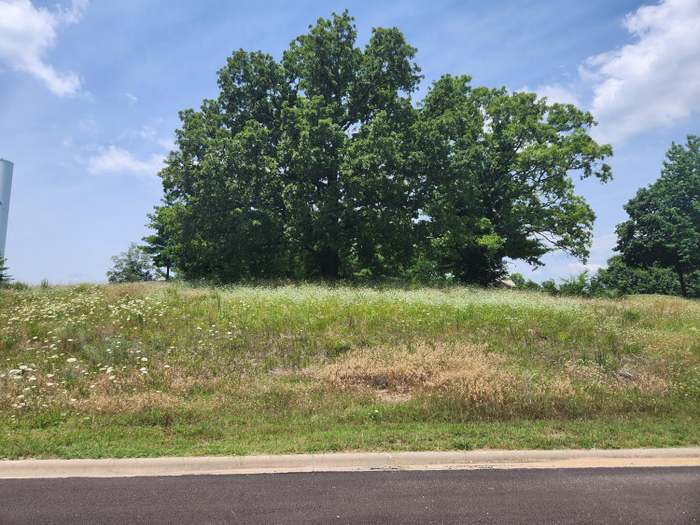 Lot 329 Emerald Pointe Dr Hollister MO 65672 MLS 60245779