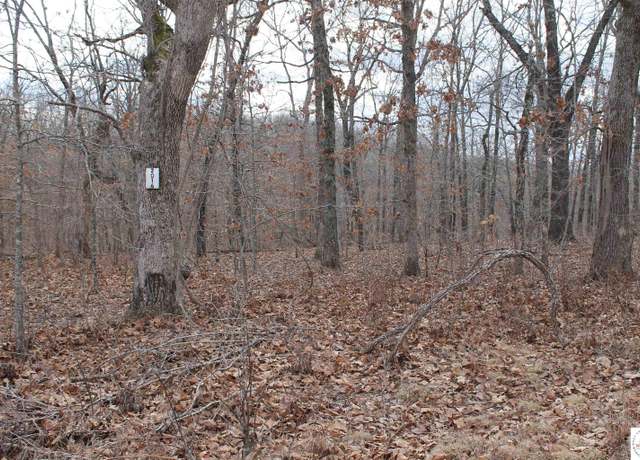 Property at Ferro Ln, Edwards, MO 65326