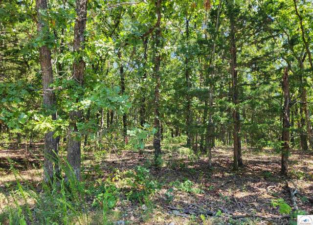 Property at Trinchera Rd, Edwards, MO 65326