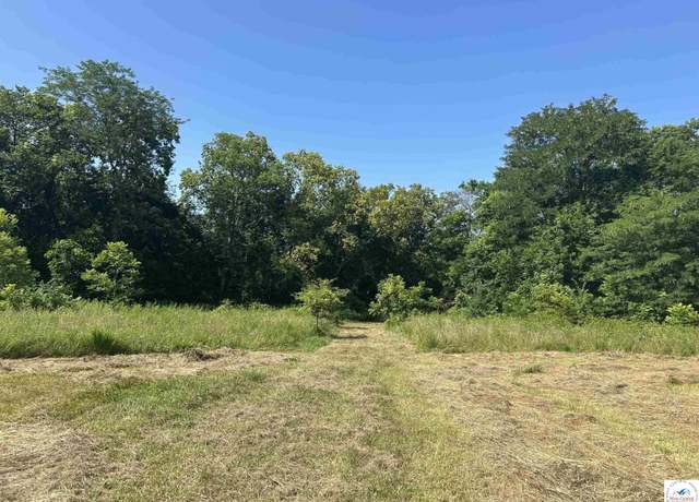 Property at 105 SE 315p Rd, Clinton, MO 64735