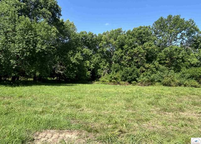 Property at 113 SE 315p Rd, Clinton, MO 64735