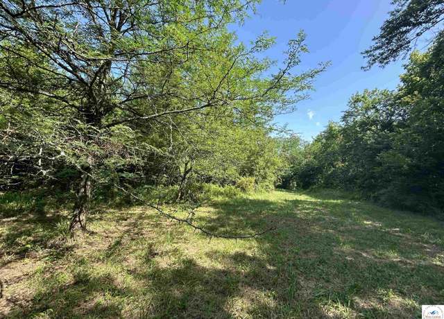 Property at 124 SE 315p Rd, Clinton, MO 64735