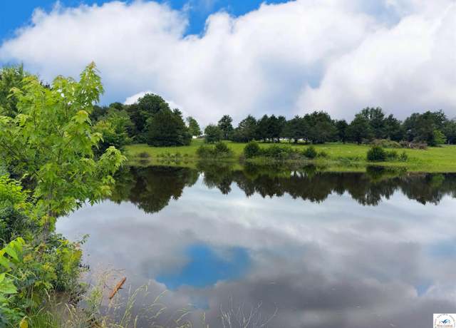 Property at 31.50 Acres C Hwy, Lincoln, MO 65338
