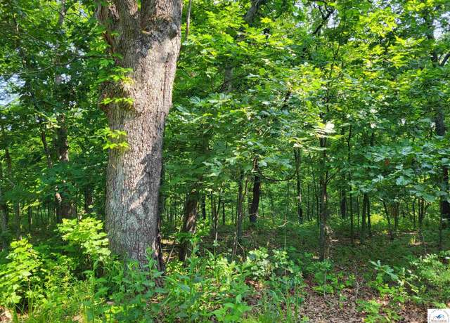 Property at Rachael Pl, Edwards, MO 65326