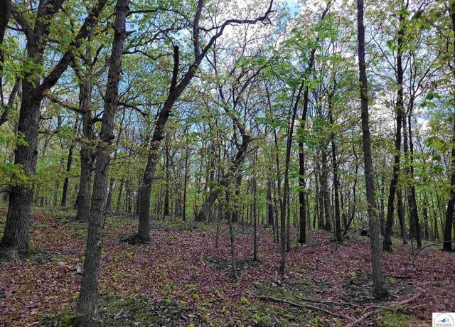 Property at Lots 1144 Elliott Pl, Edwards, MO 65326